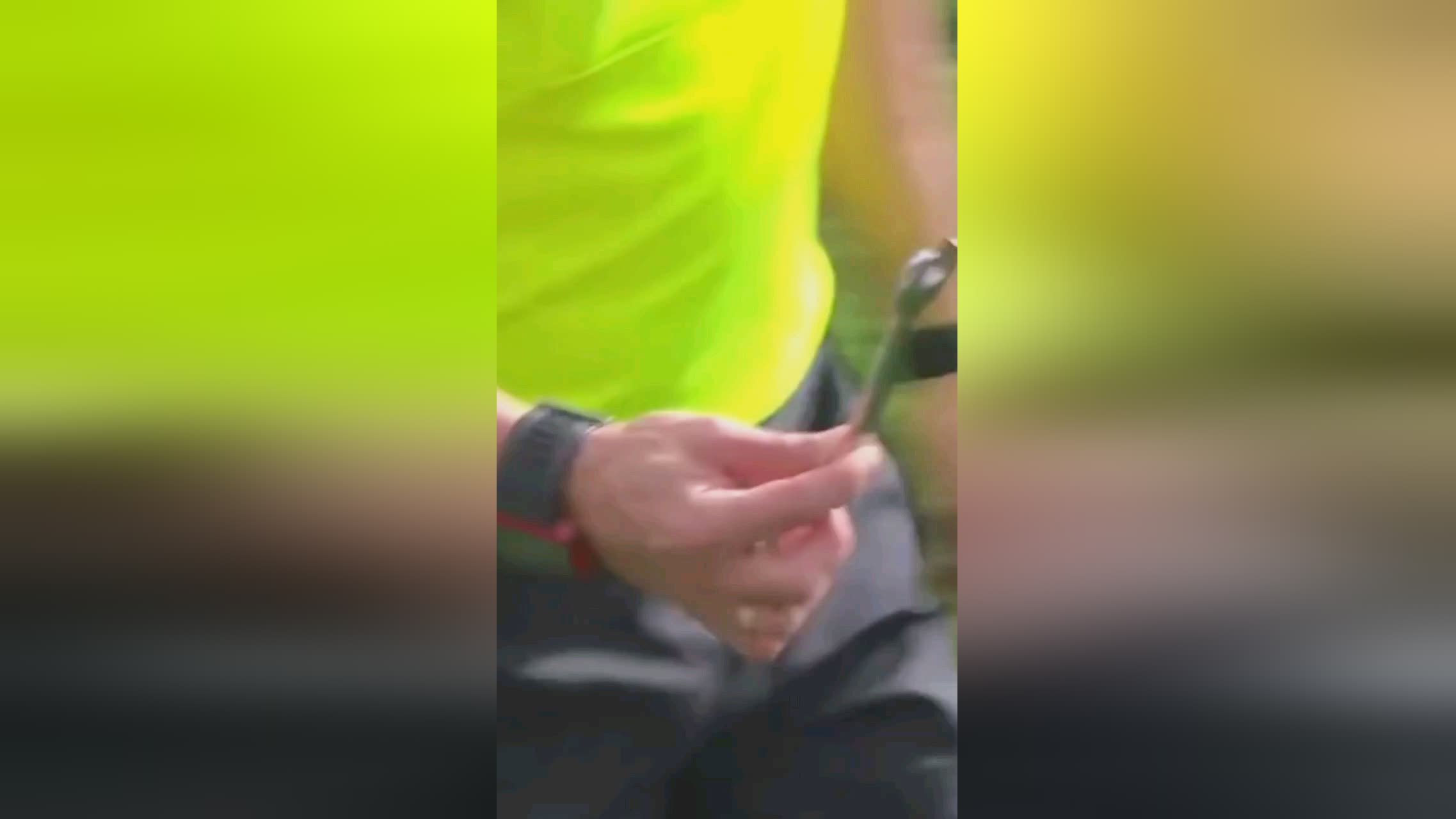 者然而竞技