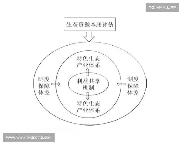 聚焦正式比赛全流程探索与参与价值提升的实践与策略分析